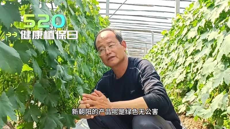 520健康植保日——擁抱綠色農業(yè)，我們在行動